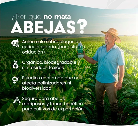 ¿Por qué OZOAGRO no mata abejas? Productor en su cultivo