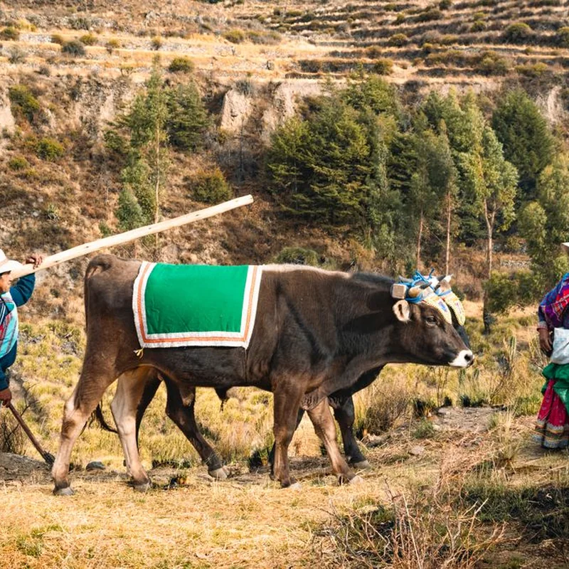 OZOAGRO en Bolivia