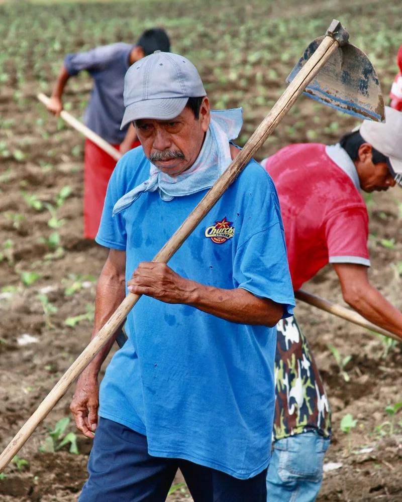 Productor que usa OZOAGRO